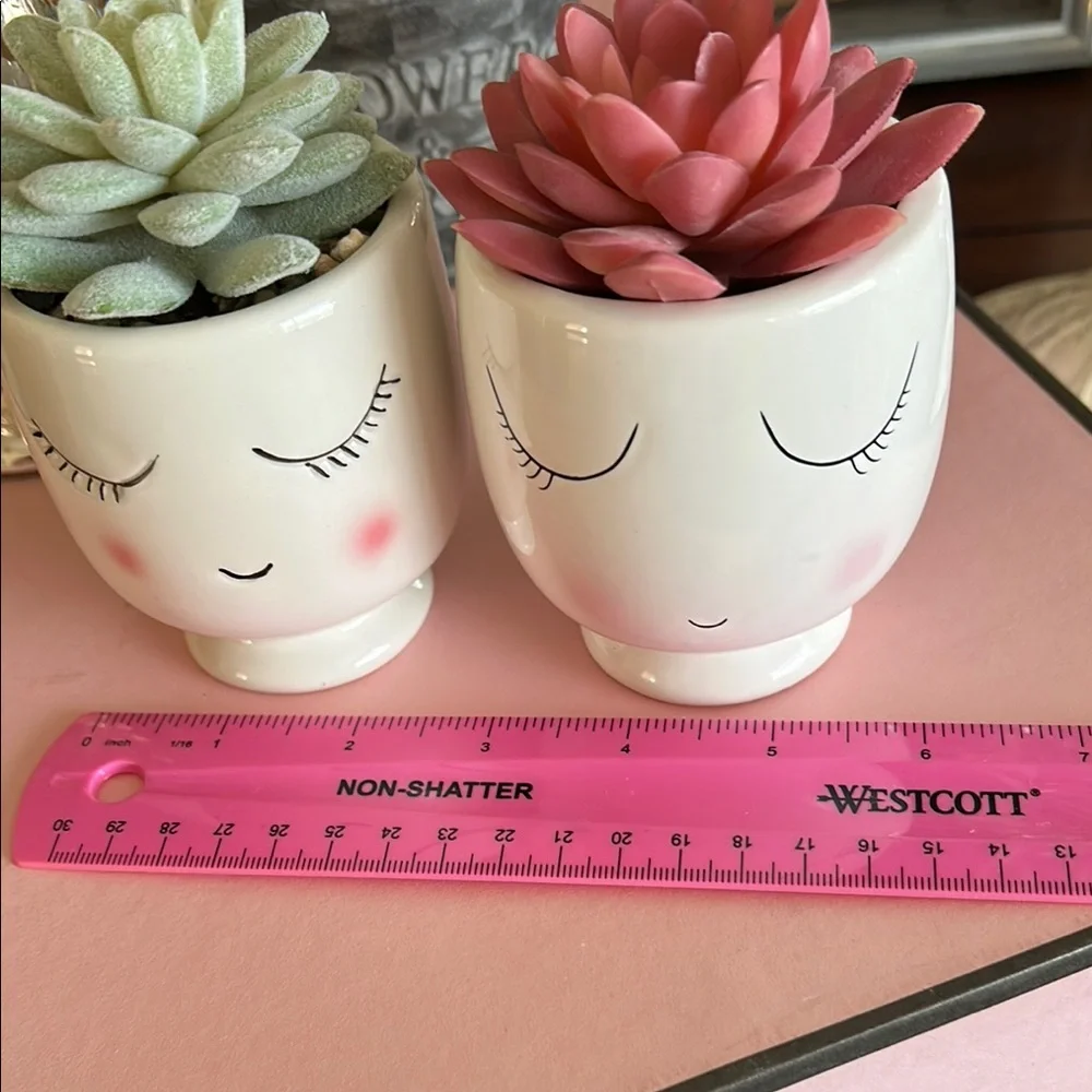Feminine Face Planters with faux Succulents in pink and green set of two